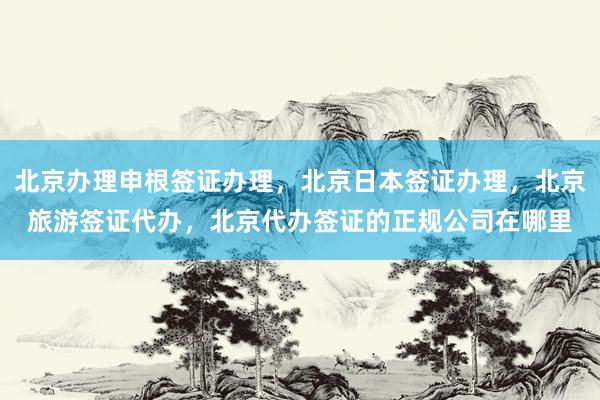 北京办理申根签证办理，北京日本签证办理，北京旅游签证代办，北京代办签证的正规公司在哪里
