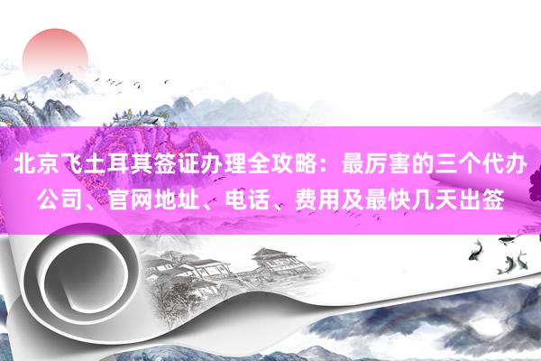 北京飞土耳其签证办理全攻略：最厉害的三个代办公司、官网地址、电话、费用及最快几天出签