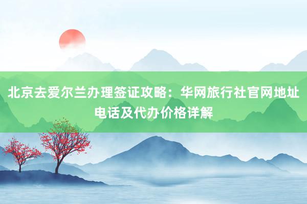 北京去爱尔兰办理签证攻略：华网旅行社官网地址电话及代办价格详解