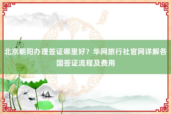 北京朝阳办理签证哪里好？华网旅行社官网详解各国签证流程及费用