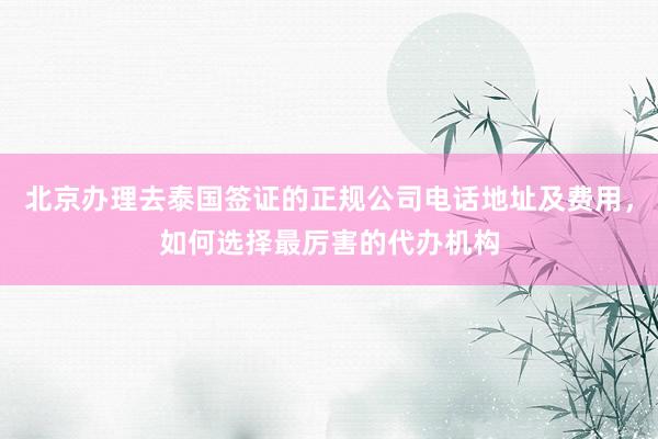 北京办理去泰国签证的正规公司电话地址及费用，如何选择最厉害的代办机构